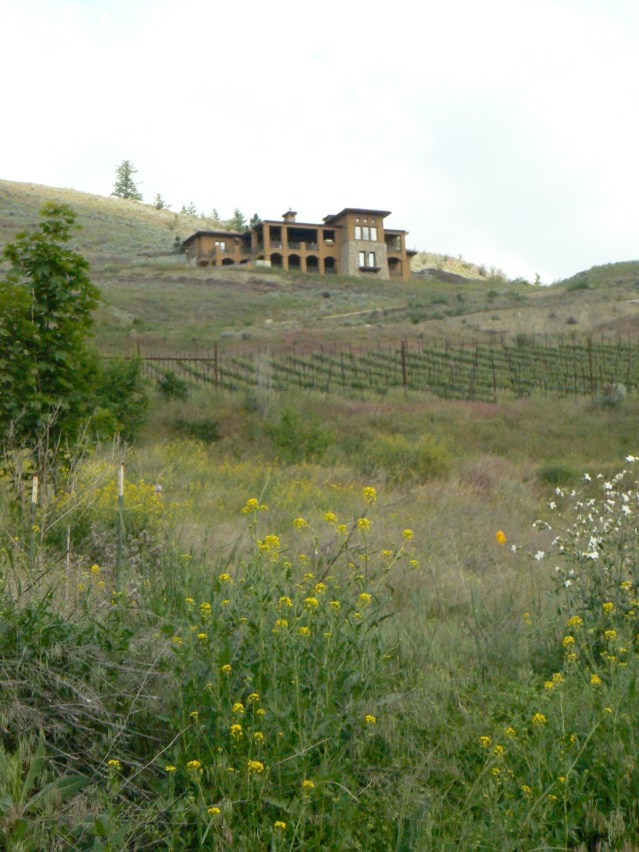 Monolithic House with vineyard, grassland, and weeds in Bella Vista
