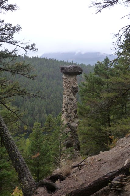 Tall eroded tower of clay and rock among the trees.