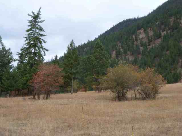 Malus Coronia orchard on the Old Falkland Road