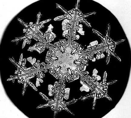 Photograph-by-Wilson-A-Be-005