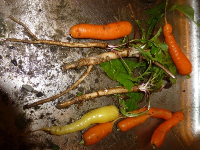 withcarrots