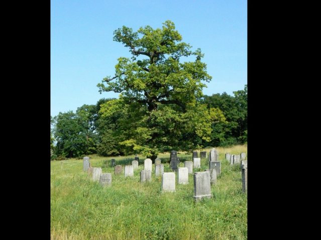 german gardenssmallest.054