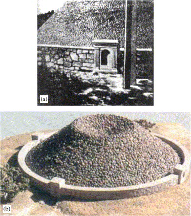 1-s2.0-S0140196306000322-gr1