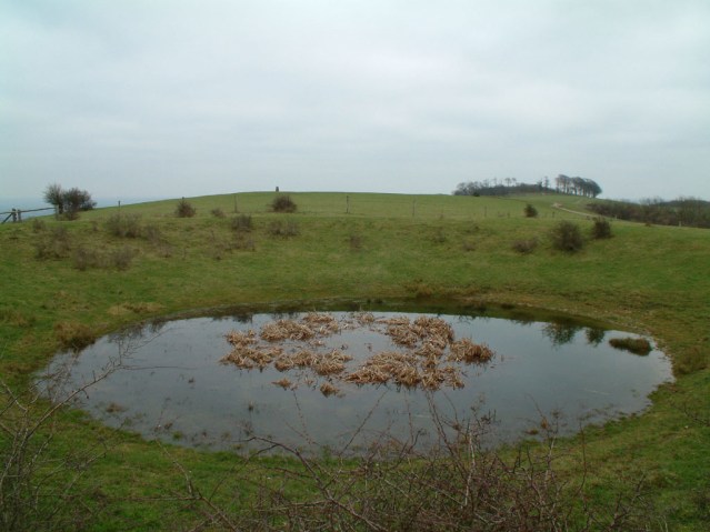 Chanctonbury_Dew_Pond