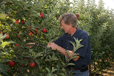 2012-12-17-ArcticApple1