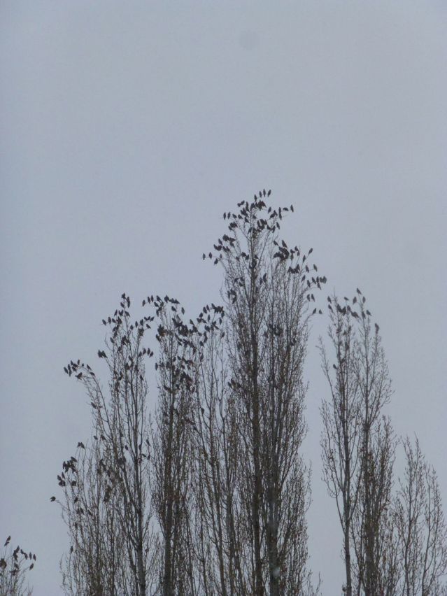 P1370065