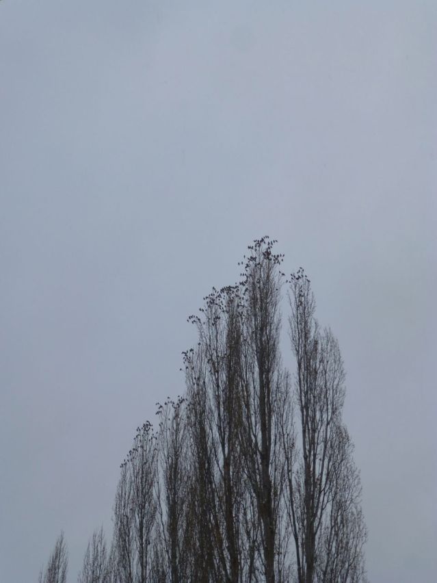P1370082