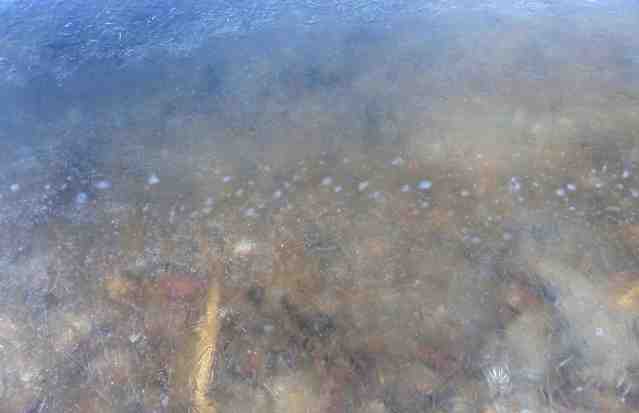 bubble2