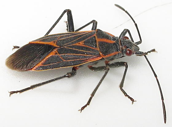 DZSRJZKRQHJLCLKZTLMZCLIZWL3LTZ3L3ZQRJZXR0H7Z1LXZBLSZHHIZLHPRVLJLCZ7R9LFLFZQRPLQZLHMZLHERSH