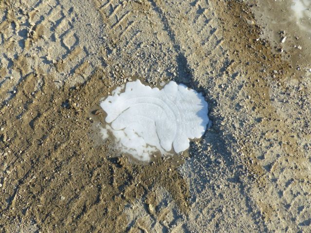 P1570516