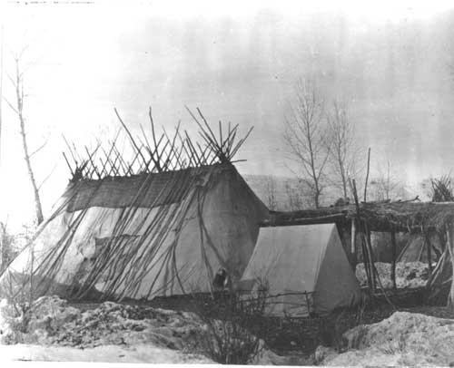 LongHouseGanvasTuliNP