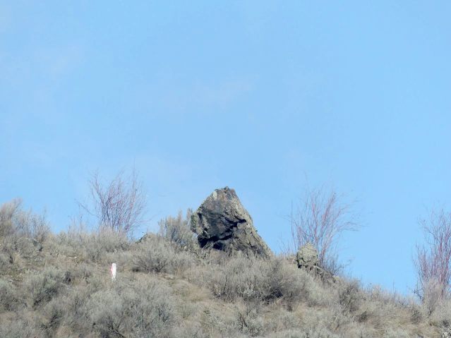 P2250486