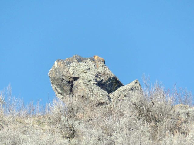 P2250515
