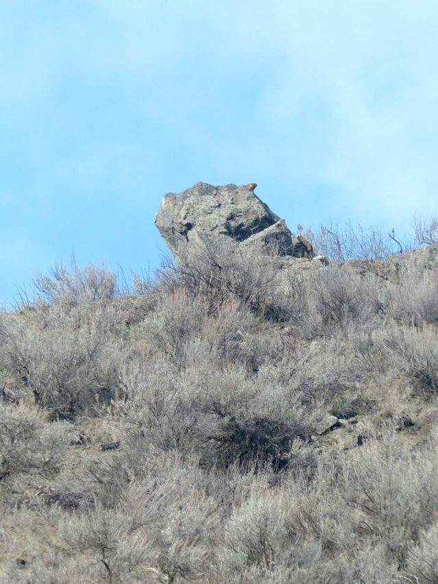P2250553