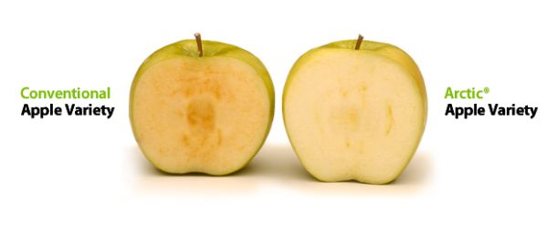 arctic-apples