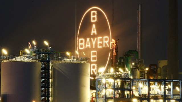bayer
