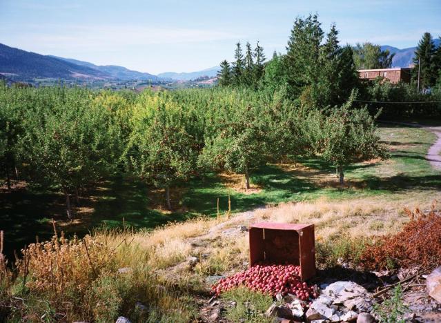 christos-dikeakos-aurorareds