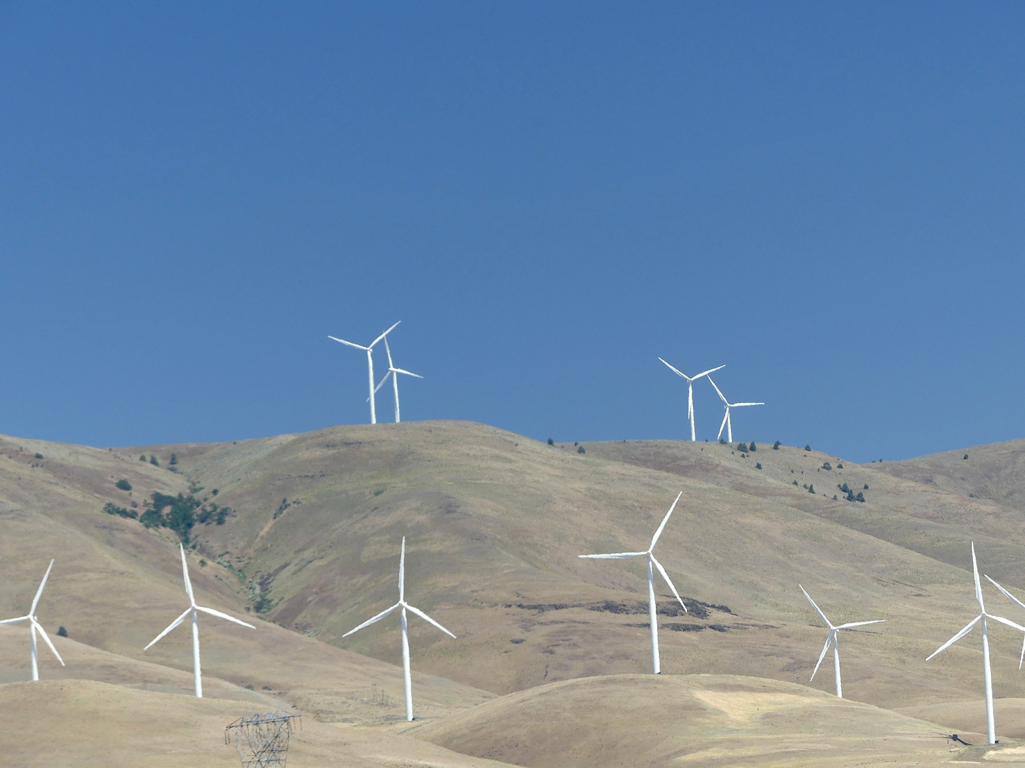 This image has an empty alt attribute; its file name is turbine.jpg