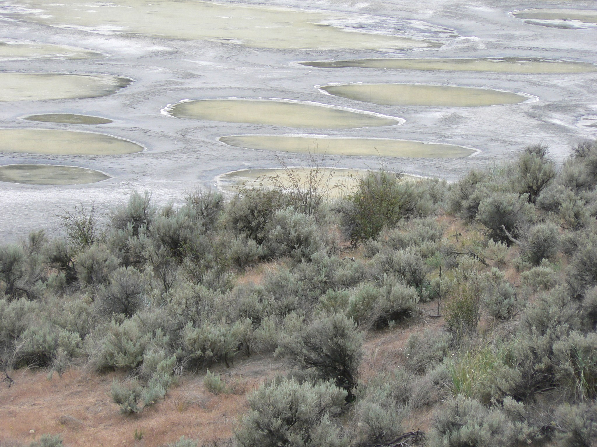 This image has an empty alt attribute; its file name is p1850169.jpg.webp